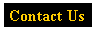 Text Box: Contact Us